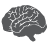 image of brain