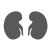 Internal  icon